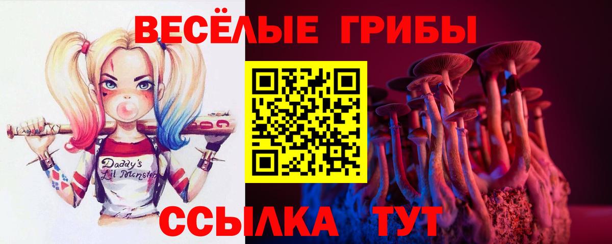 Галлюциногенные грибы Magic Shrooms  Вход с VPN  Анжеро-Судженск 