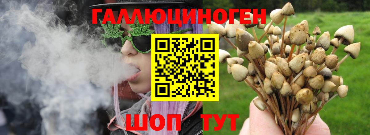 Галлюциногенные грибы GOLDEN TEACHER Анжеро-Судженск